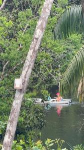 Refúgio na Floresta