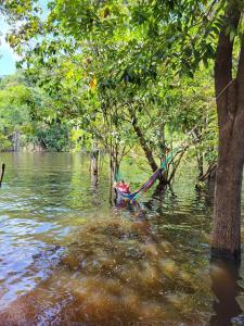 Refúgio na Floresta