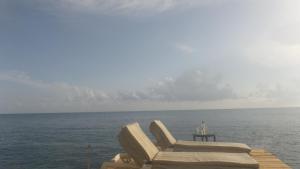 Water Lovers Paradise!