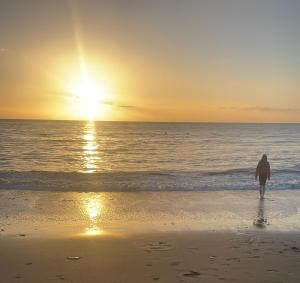 Clarach Bay Escape 3 Bedroom PetFriendly Caravan with Decking Sleeps 6