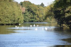 La Chaumine des Épicuriens Garden Parking
