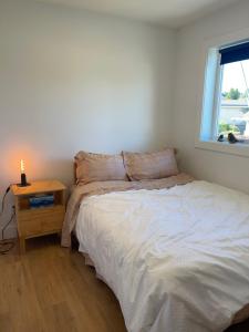 ChicVilla 3 Bedrooms 2 baths 8 min walk to Langara station