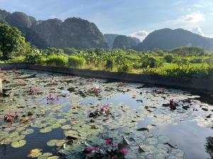 Trang An Lotus Lake Homestay