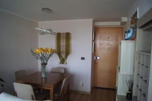 Departamento full equipado frente al mar