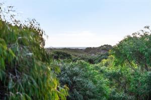 Little Freycinet - NEW