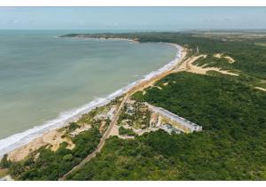 Pipa Privilege Ocean TOP