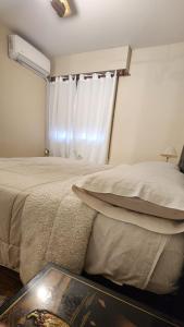 Mendoza es Montaña, Paz y Malbec