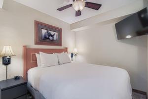 Slope-side Studio Dog Friendly Full Kitchen