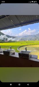 Homestay Tommy House