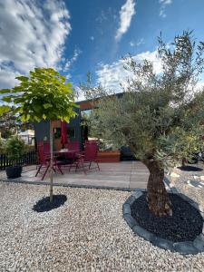 La Pura Vida - Glamping Tiny Houses