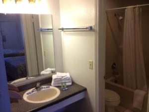 Economy Single Room room in American Dream Inn