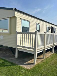 M15 Meadow View Golden palm