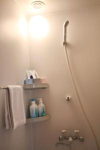 BRT101 Ikebukuro Station , Double Apartment , Yamanote Line direct access to Shinjuku Shibuya, convenient transportation, fully equipped