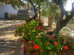 Karantola Studios Kallirachi Thassos Greece