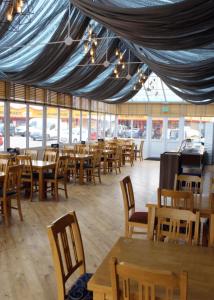 M15 Meadow View Golden palm