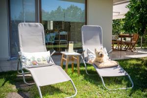Apartment Alba with garden 