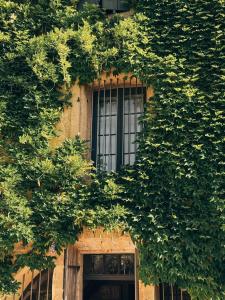 Villas Le Gardien des anges : photos des chambres