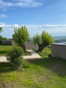 La Collina dei Gelsi