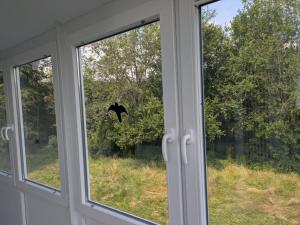 Spacious and Luminous 3 Bedroom Apartment in a Bungalow