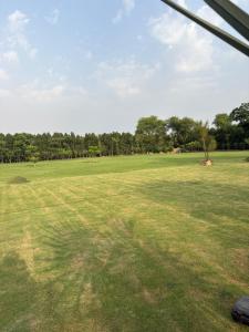 Greenwood Farm And Lawn -Bijwasan I Near Delhi Airport I 87oo2o5865