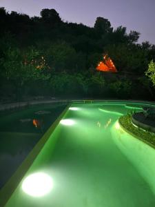 La calma entre naranjos