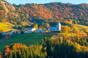Chalets Le chalet du lac d-etival : photos des chambres
