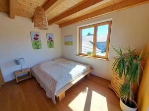 FeWo "Alpakaleben" im ökologischen Holzhaus mit traumhafter Aussicht und Alpakas