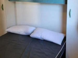 Campings Chalet chaleureux 4 personnes avec terrasse - API-1-52-588 : photos des chambres
