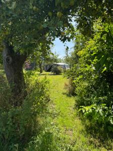 Camping Relaxing im Garten