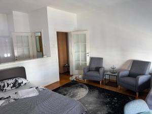 Apartman u Pašićevoj