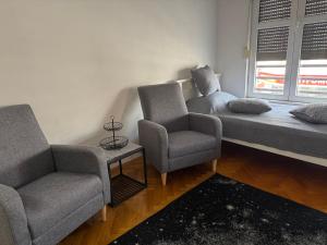 Apartman u Pašićevoj
