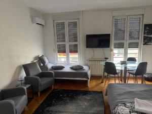 Apartman u Pašićevoj