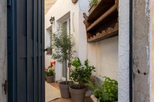 Brabara Holiday Home img27