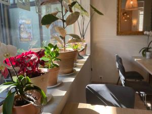 Hotels Brit Hotel Acacias : photos des chambres