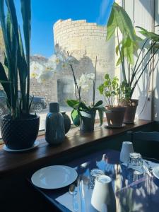 Hotels Brit Hotel Acacias : photos des chambres