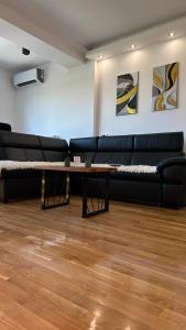 Green apartment arena-usce