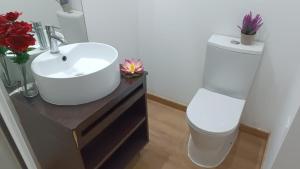 Open-Air Terrace Studio in Historic Heart of Porto