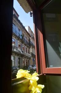 Open-Air Terrace Studio in Historic Heart of Porto