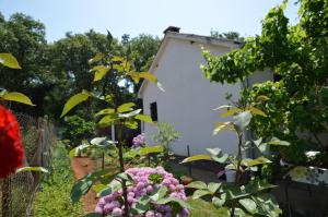 Holiday Home Leni