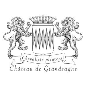 B&B / Chambres d'hotes Chateau de Grandsagne : photos des chambres