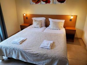 Maisons de vacances Spacious villa with garden and pool : photos des chambres