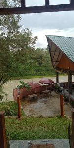 Jungle house and treking