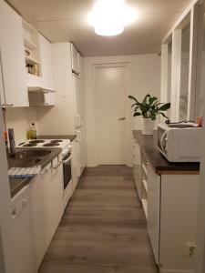 Lapland Spacious Apartment, Rovaniemi