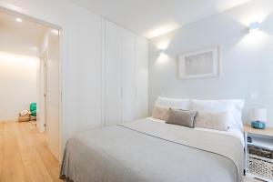 Studio Dash 111 Collection