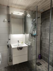 Lapland Spacious Apartment, Rovaniemi