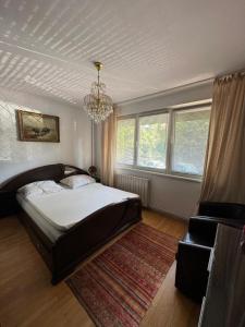 2 bedrooms apart in Cismigiu area - the real center of the city