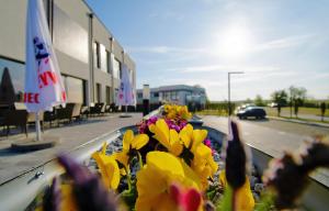 Hotel i Apartamenty Gorzelanny Dźwirzyno