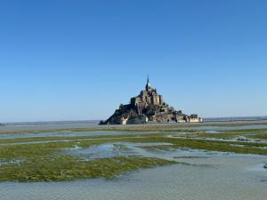 Maisons de vacances Gite Le Chene dore : photos des chambres