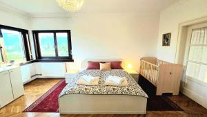 Vila Moka near Bled-Entire House with Garden & Free Parking