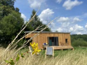Charming Tiny House in the meadow